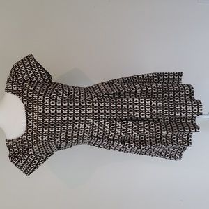 Ixia brand. Black & cream dress size Large. Fit and flare